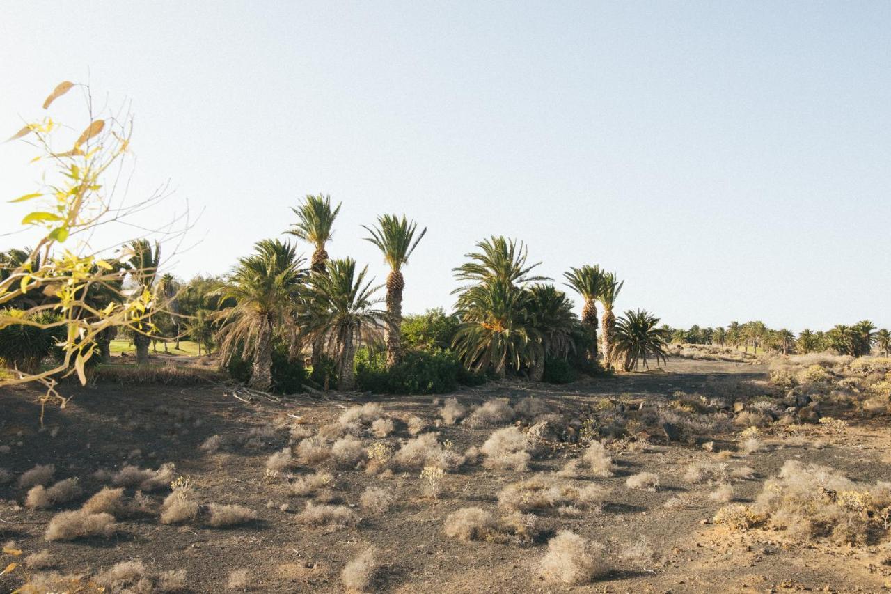 Alava Costa Teguise